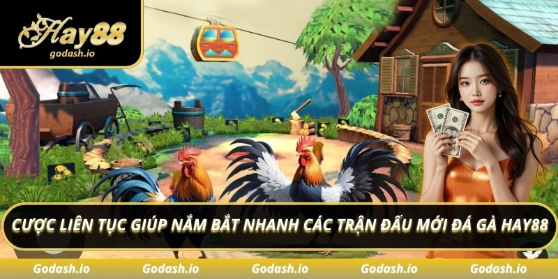 Cược liên tục giúp nắm bắt nhanh các trận đấu mới đá gà Hay88