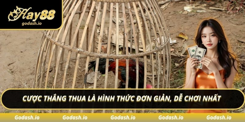 Cược thắng thua là hình thức đơn giản, dễ chơi nhất