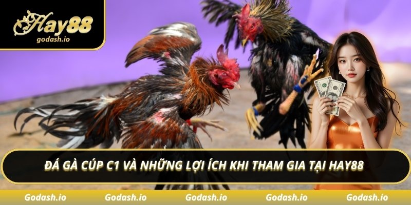 Đá gà cúp c1