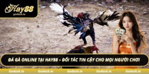 Đá gà online