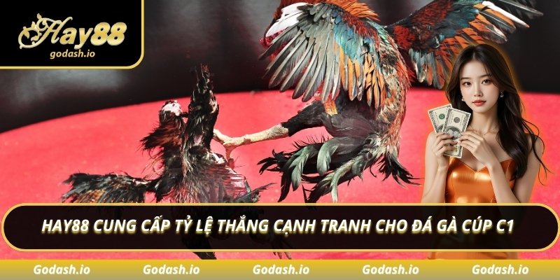 Hay88 cung cấp tỷ lệ thắng cạnh tranh cho đá gà cúp c1