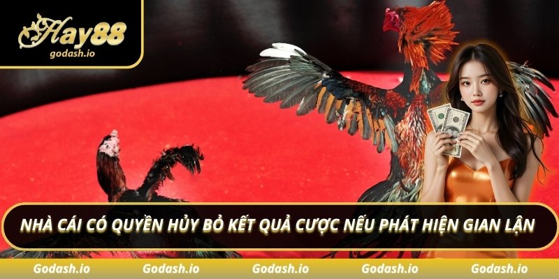 Nhà cái có quyền hủy bỏ kết quả cược nếu phát hiện gian lận