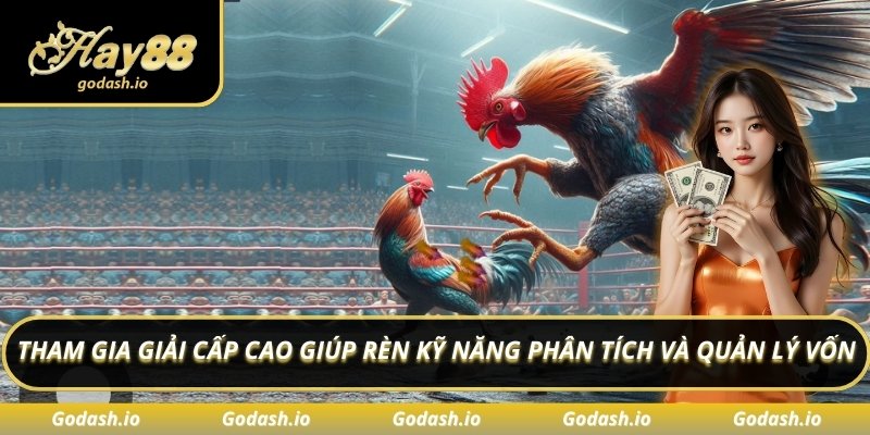 Tham gia giải cấp cao giúp rèn kỹ năng phân tích và quản lý vốn